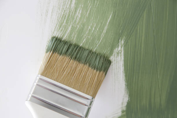  Hokes Bluff, AL Mold Removal Pros